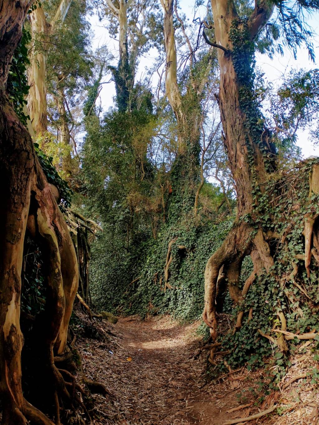 Alarma Ambiental en un paisaje hermoso: El arroyo la Tapera bajo&nbsp;amenaza