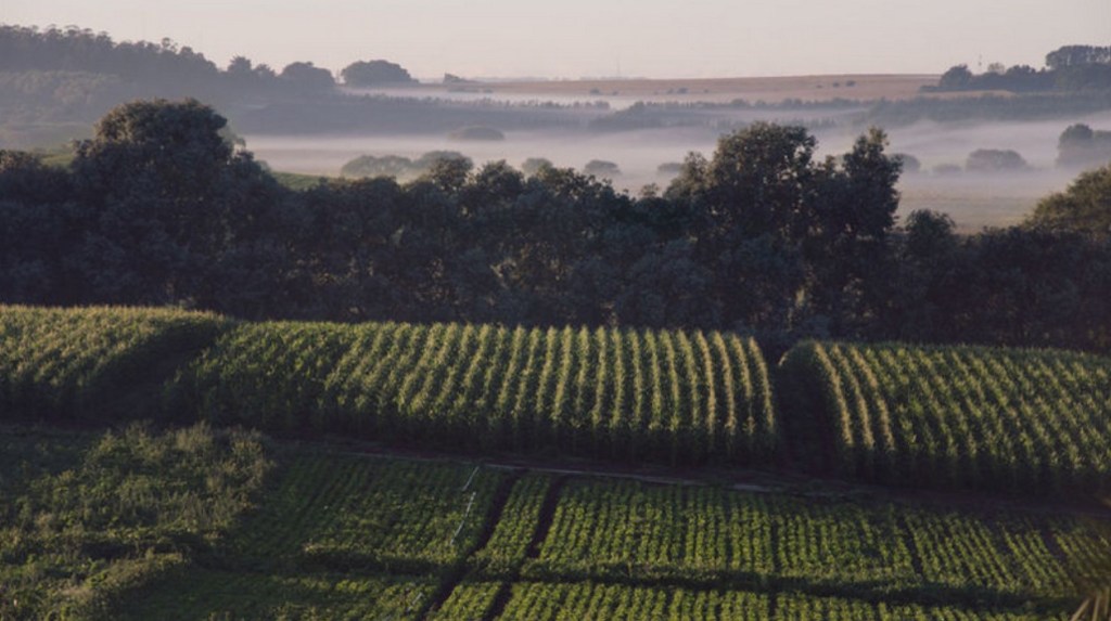 Si nos ponemos las pilas, Sierra de los Padres podría tener una verdadera&nbsp;Fiesta