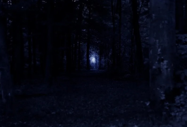 Tené mucho cuidado por la noche: Las leyendas de campo que siguen cazando curiosos